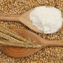 barley flour for Product