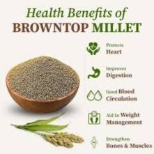 browntop millet (हरी कंगनी)