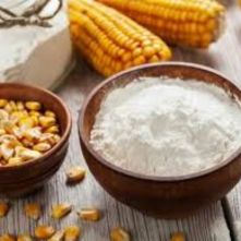 white corn flour (सफेद मक्के का आटा) For Product