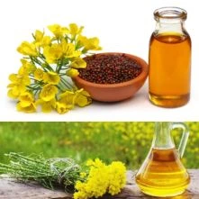 yellow mustard oil 1ltr For Product
